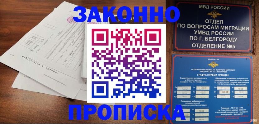 прописка в Жуковском